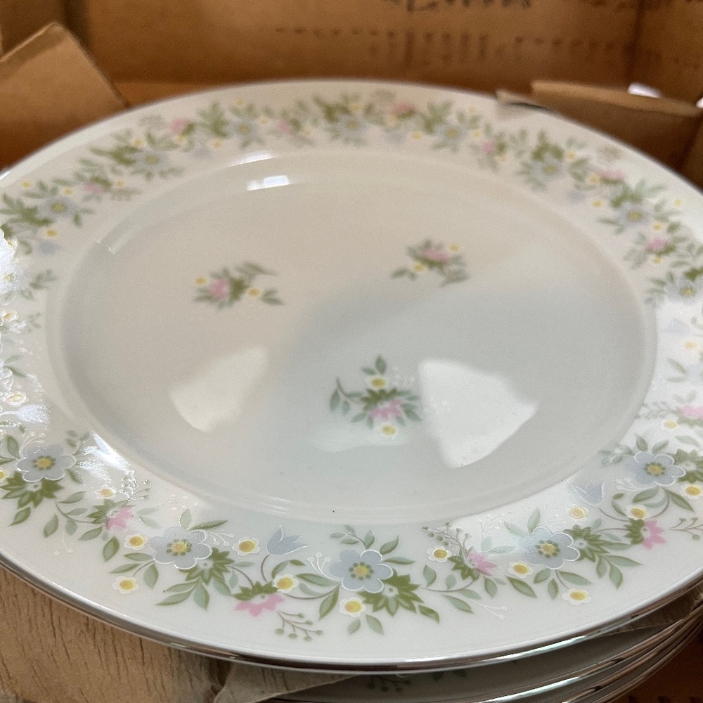 Johann Haviland Bavaria Germany Fine China Forever Spring 7.5" Salad Plate